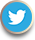 Twitter Icon